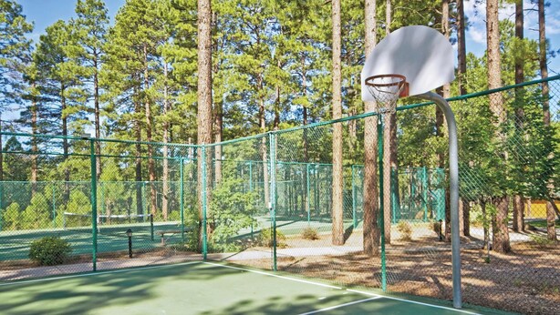 En udendørs basketballbane med grøn overflade, omgivet af hegn og træer.
