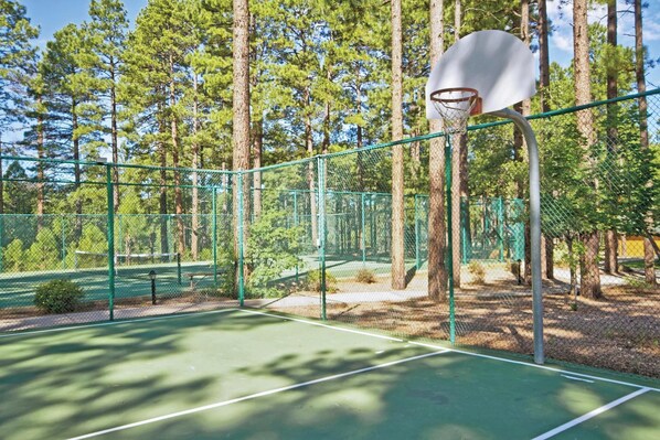 An outdoor basketball court with a green surface, surrounded by a chain-link fence and trees.