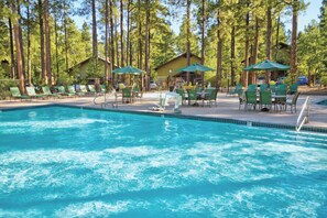 Ein Pool mit Liegestühlen und Sonnenschirmen, umgeben von hohen Bäumen.