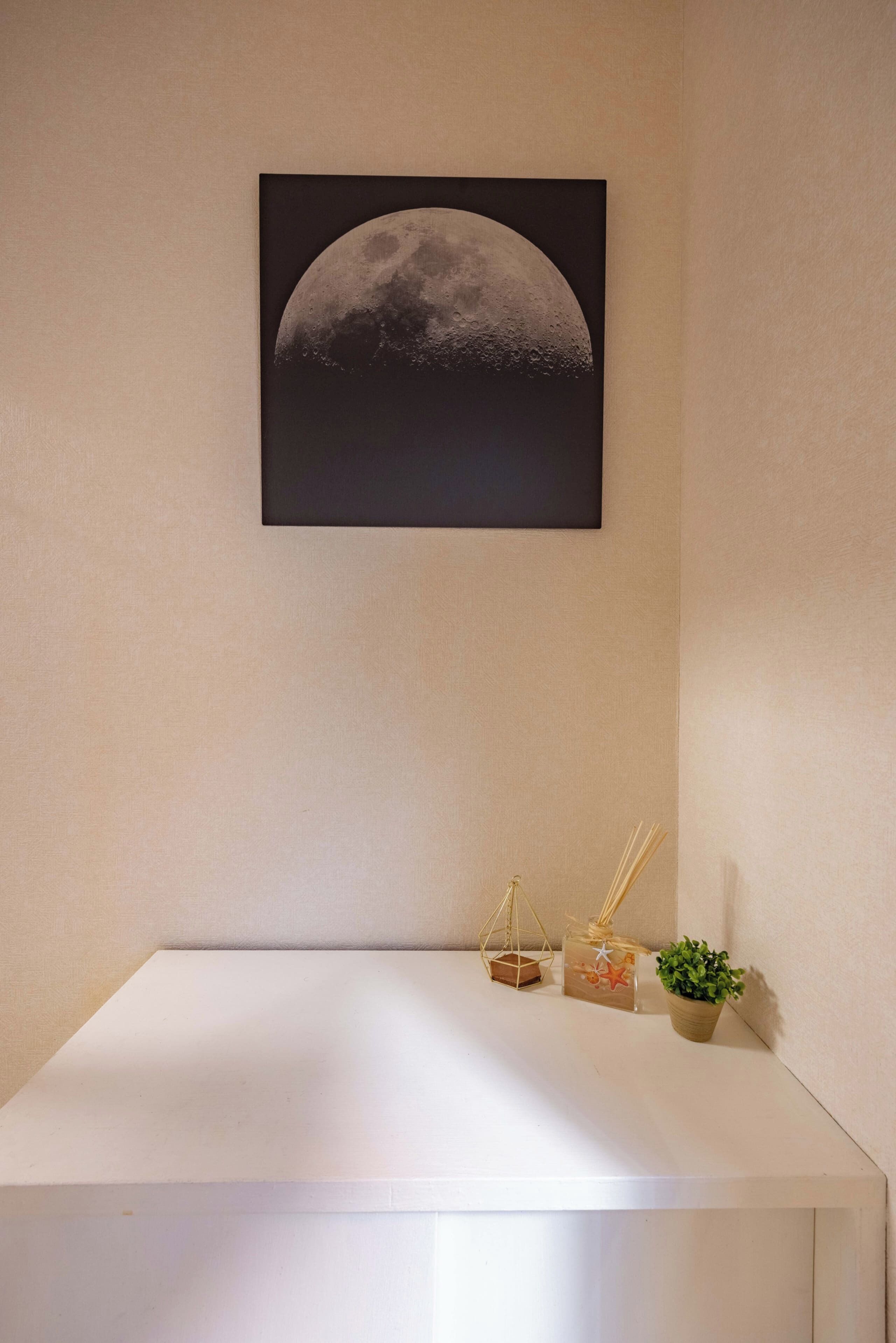 A wall with a framed moon photograph, a white shelf with a small plant, a decorative box, and reed sticks.