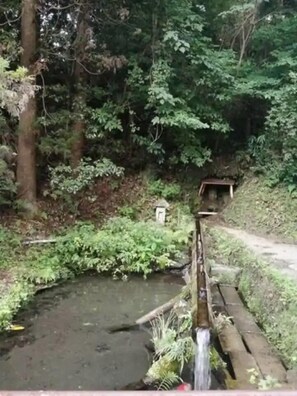 A natural setting with a small pond, surrounded by dense greenery and trees. - Futtsu Detached house (Futtsu)