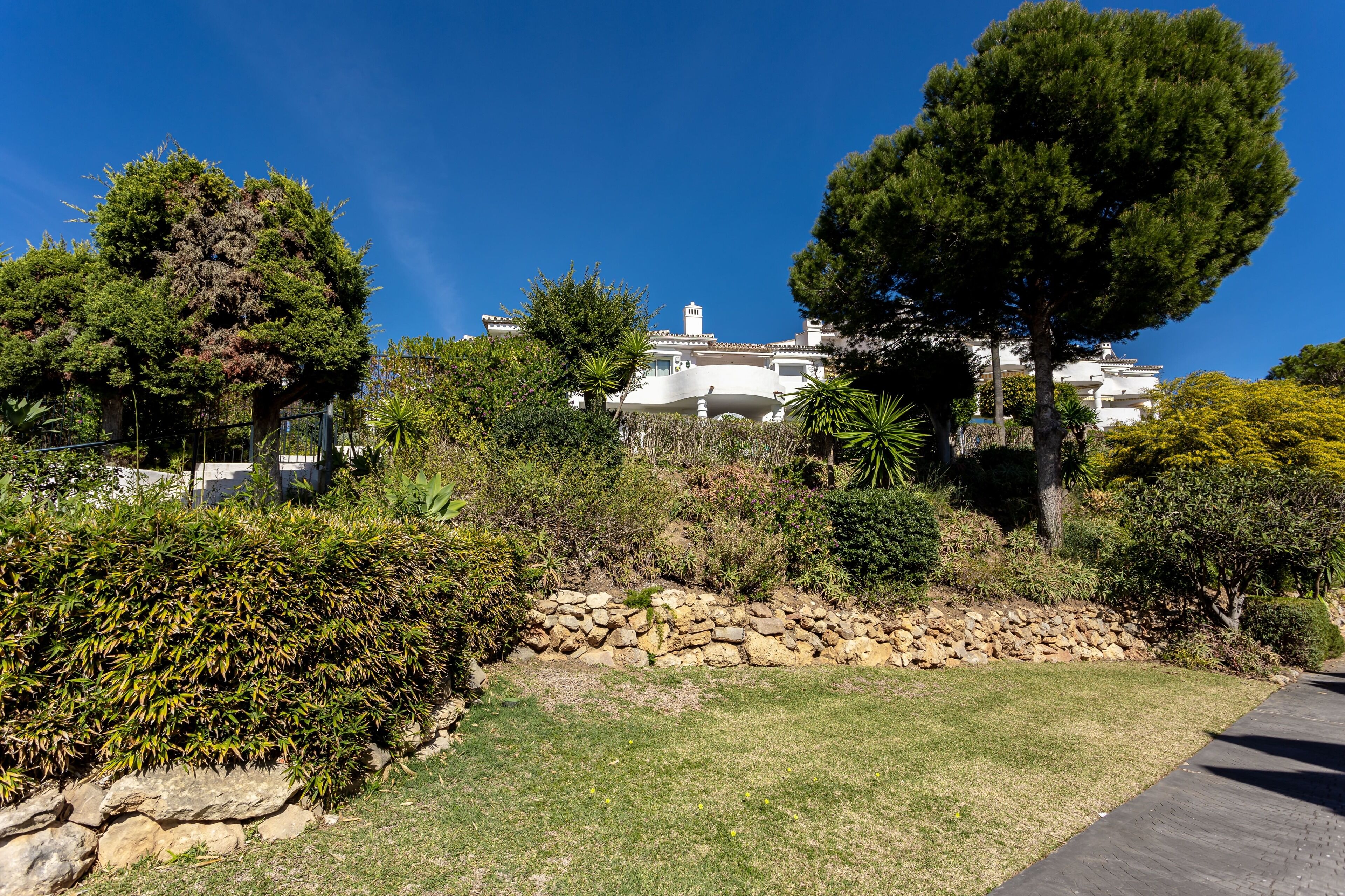 A landscaped garden with a stone wall, various shrubs, and trees.