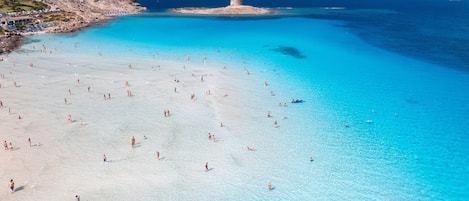 Nära stranden