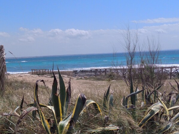 On the beach - Villa Bonnie 25 meters from the sea (Porto Cesareo)