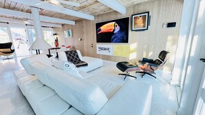 Smart TV, fireplace, books, printers