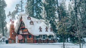A gingerbread house-themed building with a sign reading "Sweet Shoppe" and outdoor seating. - Emerald Lake View Loft (Lake Arrowhead)