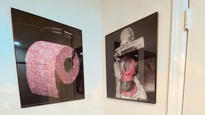 Un baño con un inodoro, un rollo de papel higiénico y dos cuadros en la pared.