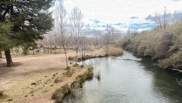Vistas desde el alojamiento