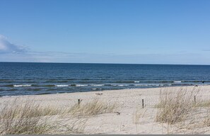 Une plage de sable avec une végétation clairsemée.