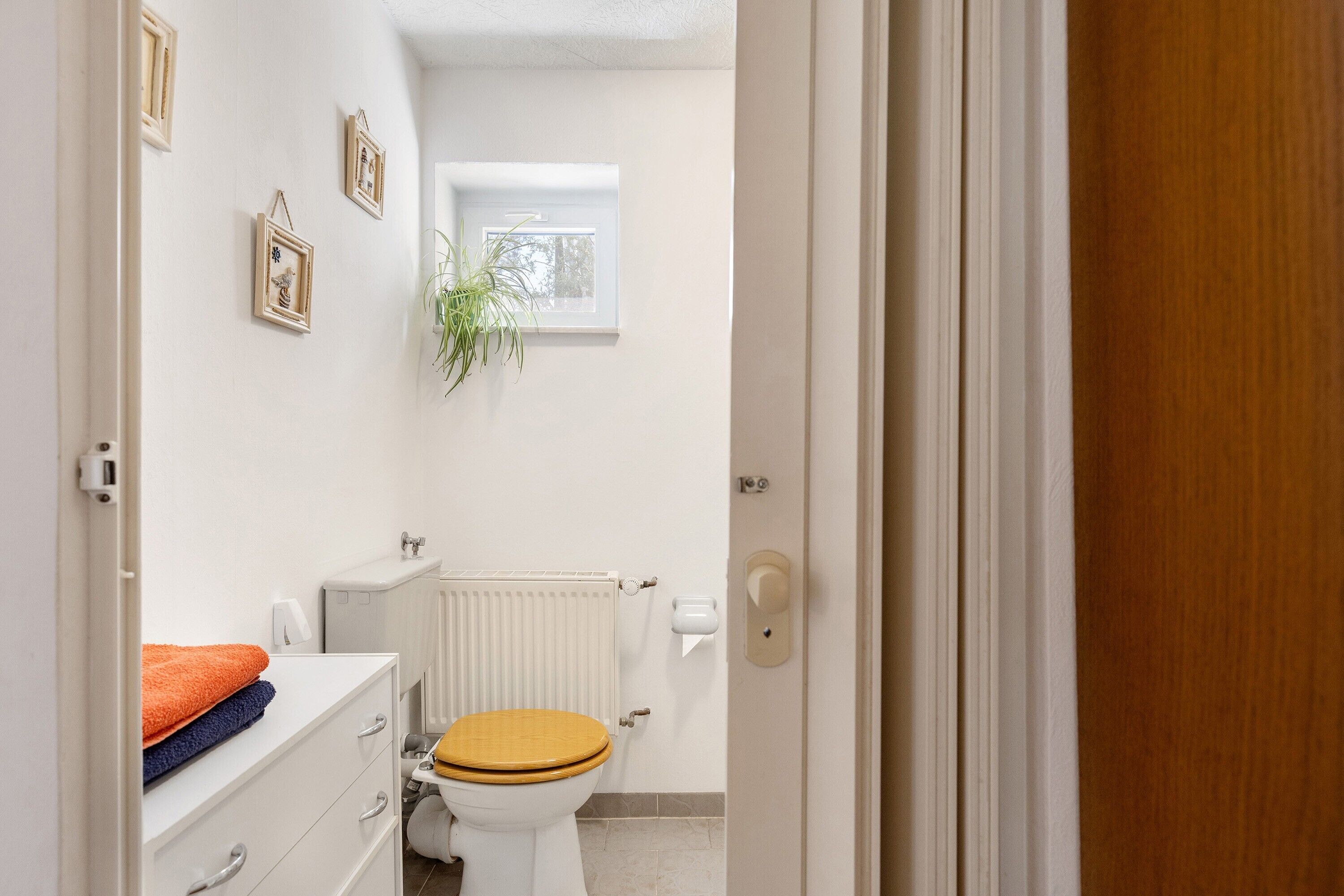 Een badkamer met toilet, radiator, raam en een plant.
