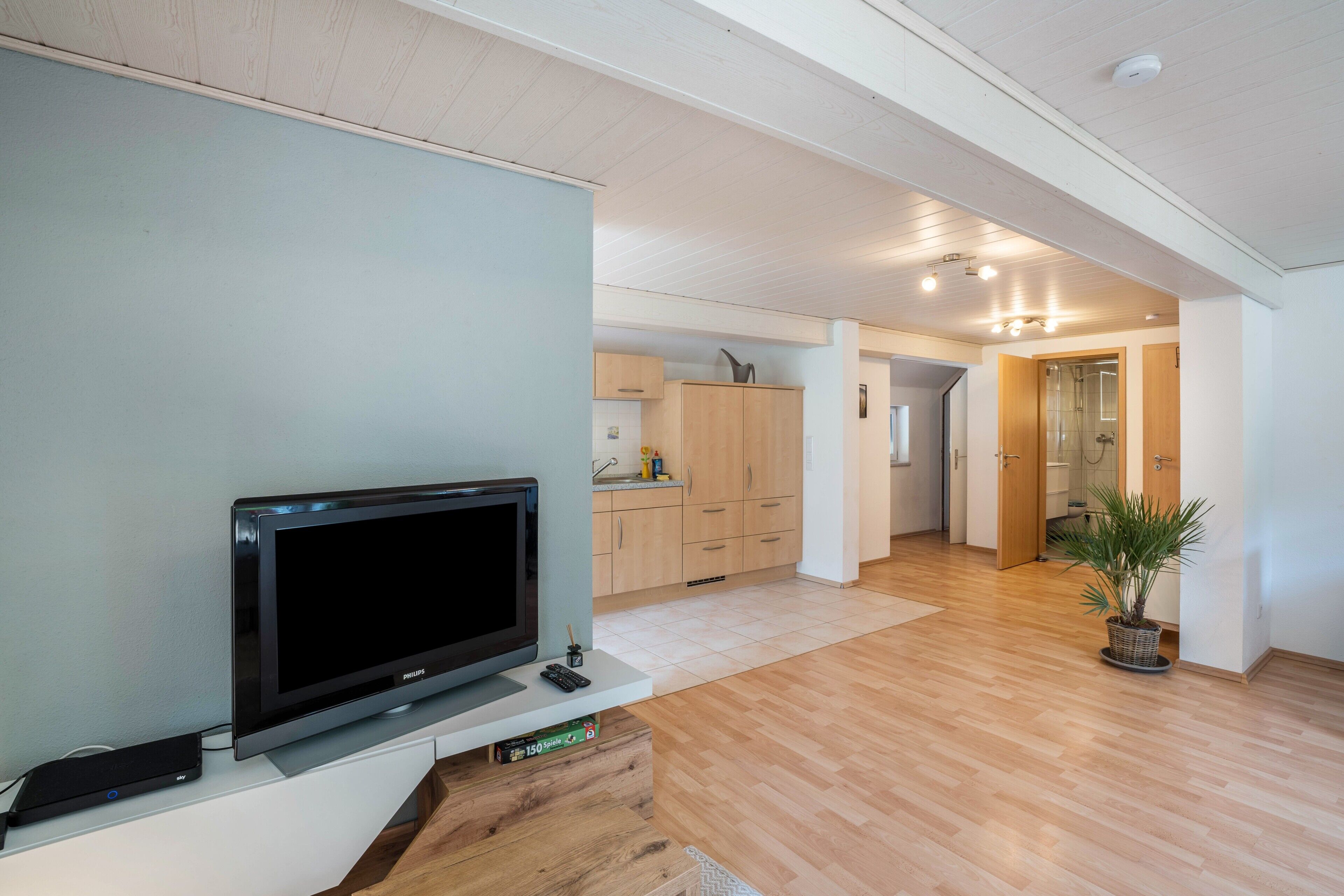 Un salon moderne doté d’un téléviseur à écran plat, d’un parquet et d’une plante en pot.