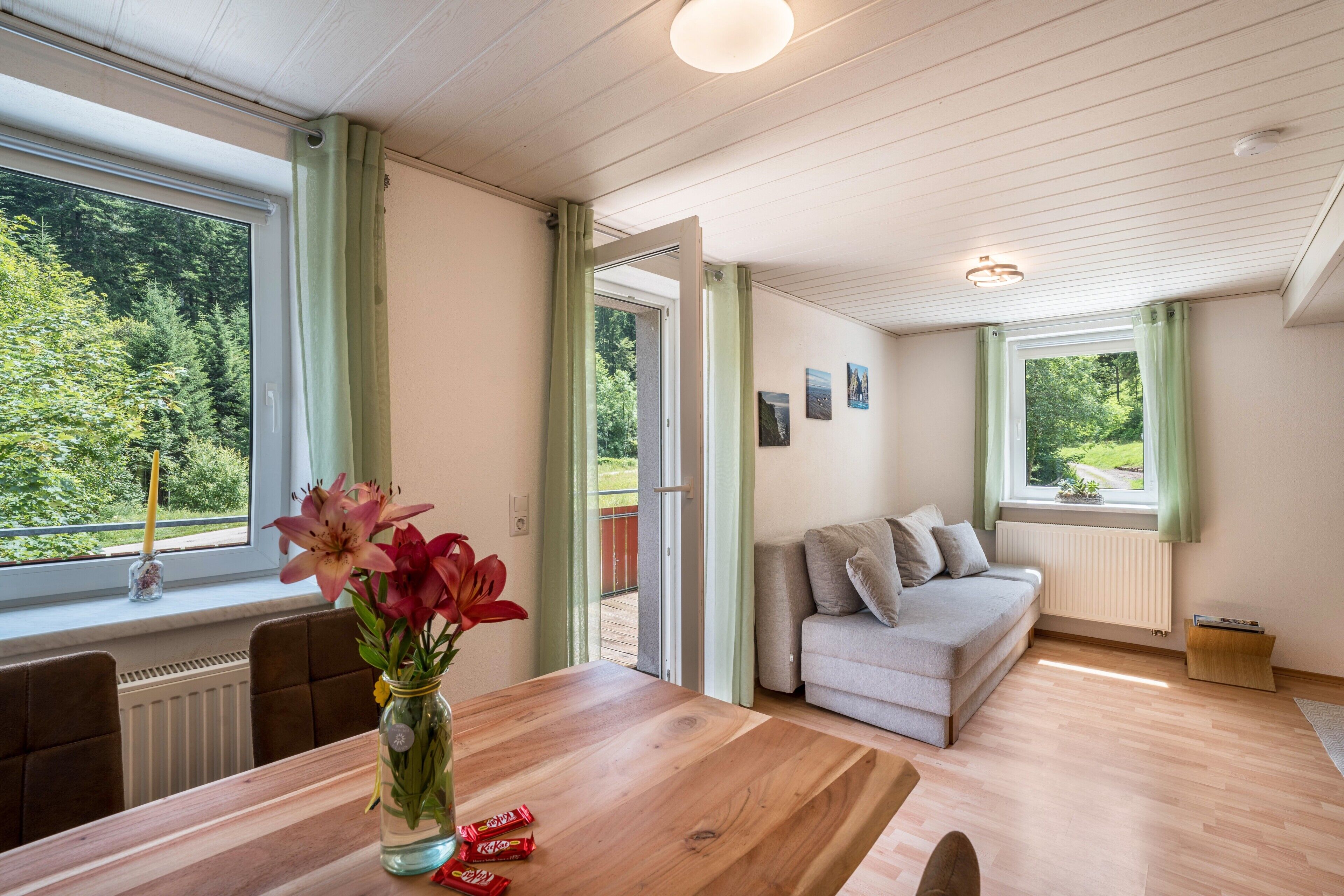 Fernseher, Tischtennisplatte