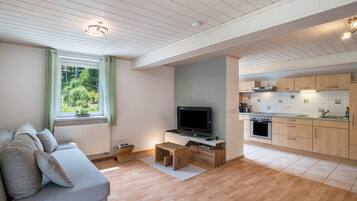 Fernseher, Tischtennisplatte