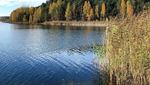 Un lac paisible aux eaux limpides, entouré d’une forêt dense et d’herbes hautes.