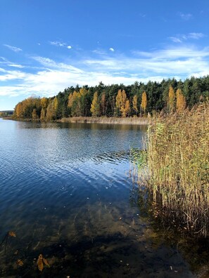 Un lac paisible aux eaux limpides, entouré d’une forêt dense et d’herbes hautes.