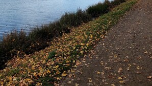 Un sentier longeant un lac paisible, avec une colline et des arbres visibles au loin.