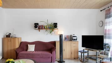 Fernseher, Stereoanlage