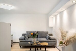 TV - Apartment 'Schönauer Hof - Wohnung Lux' with Private Terrace, Wi-Fi and Air Conditioning (Passau)