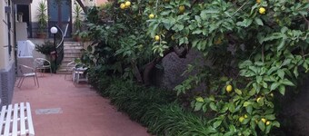 Fully renovated apartment with garden and separate entrance