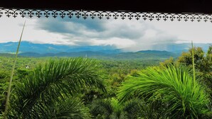A lush green landscape with a view of distant mountains and a decorative metal railing above. - Siyonra Bungalow  (Thotagamuwa)