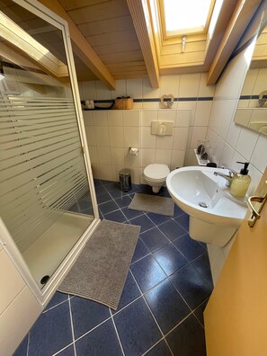Shower, hair dryer, towels