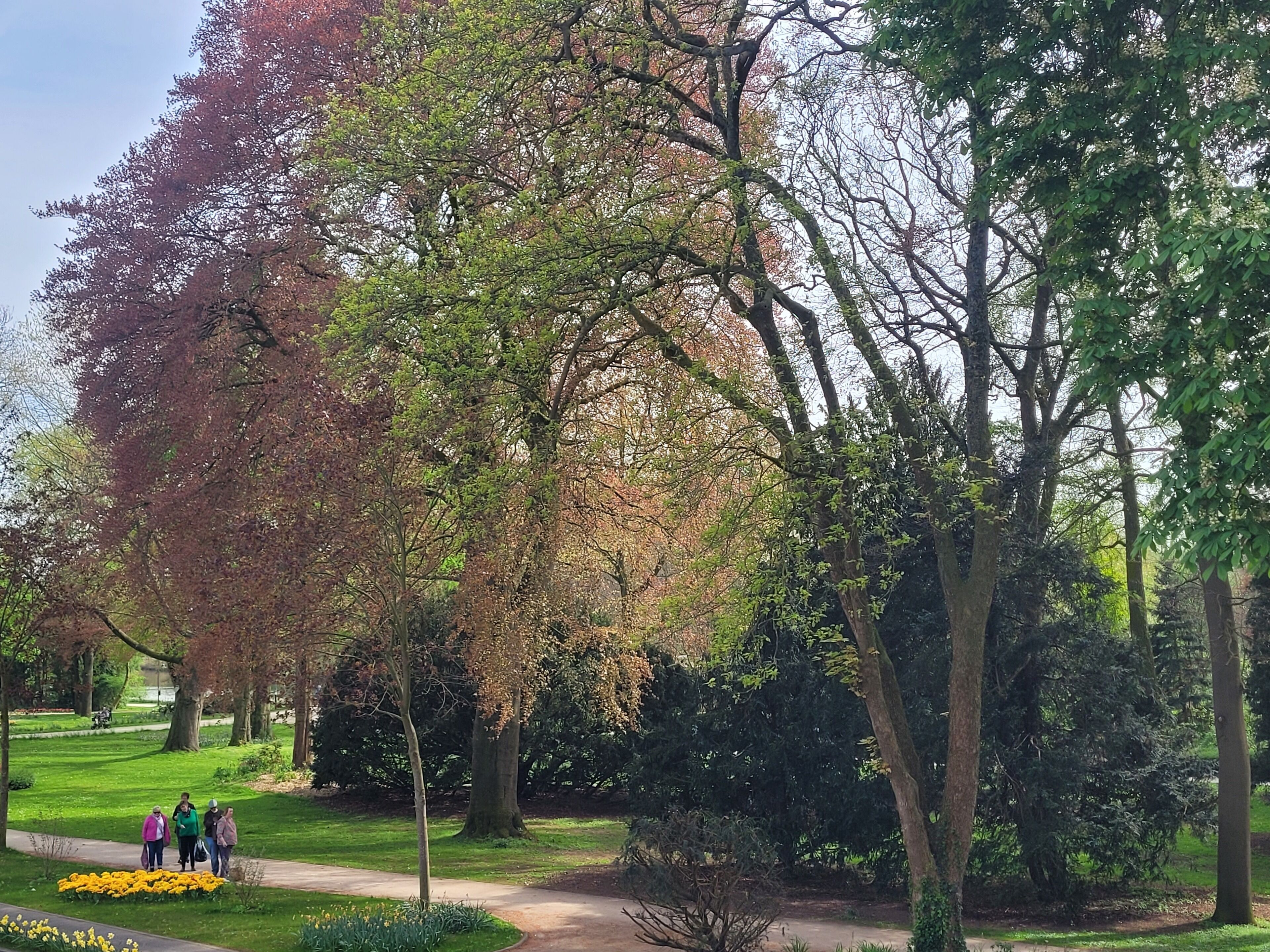 A park with a paved path, trees, and a flower bed.