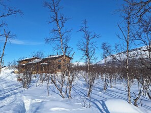 Eksteriør