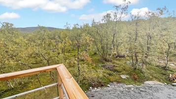 Eine Holzterrasse mit Blick auf ein bewaldetes Gebiet und einen klaren Himmel.