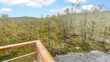 Área da propriedade