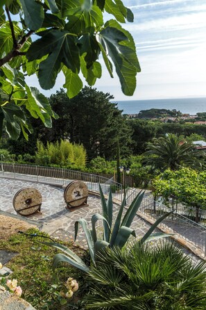 Property grounds - Your Real Holiday (Marciana Marina)