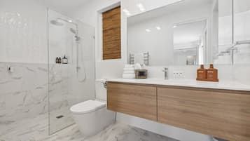 Hair dryer, towels, shampoo, toilet paper