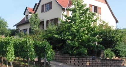 Maison Située Dans le Vignoble, Appartement à L'étage Avec Entrée Indépendante