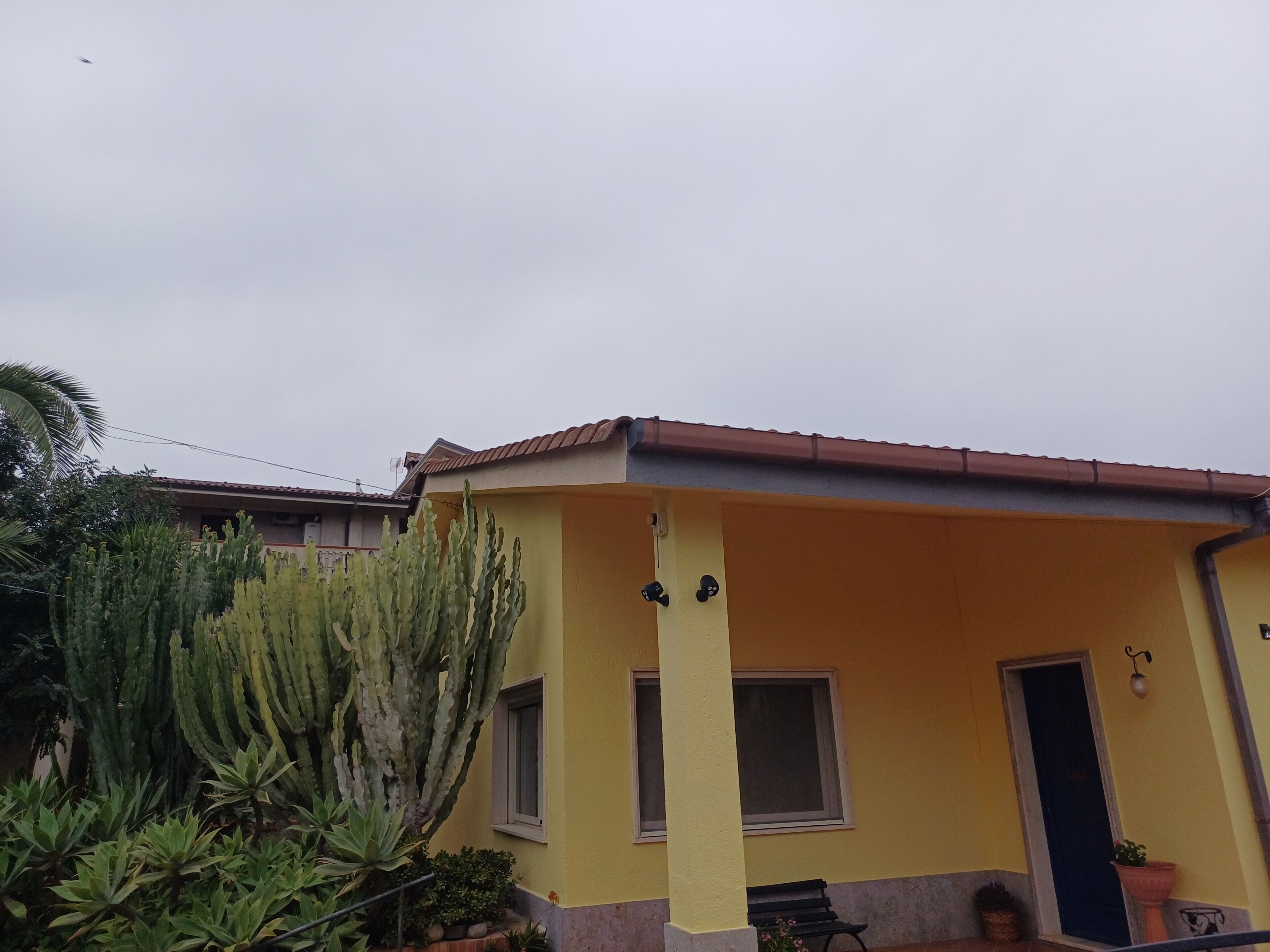 A yellow building with a red roof, a door, and windows. There are plants and a cactus in front.