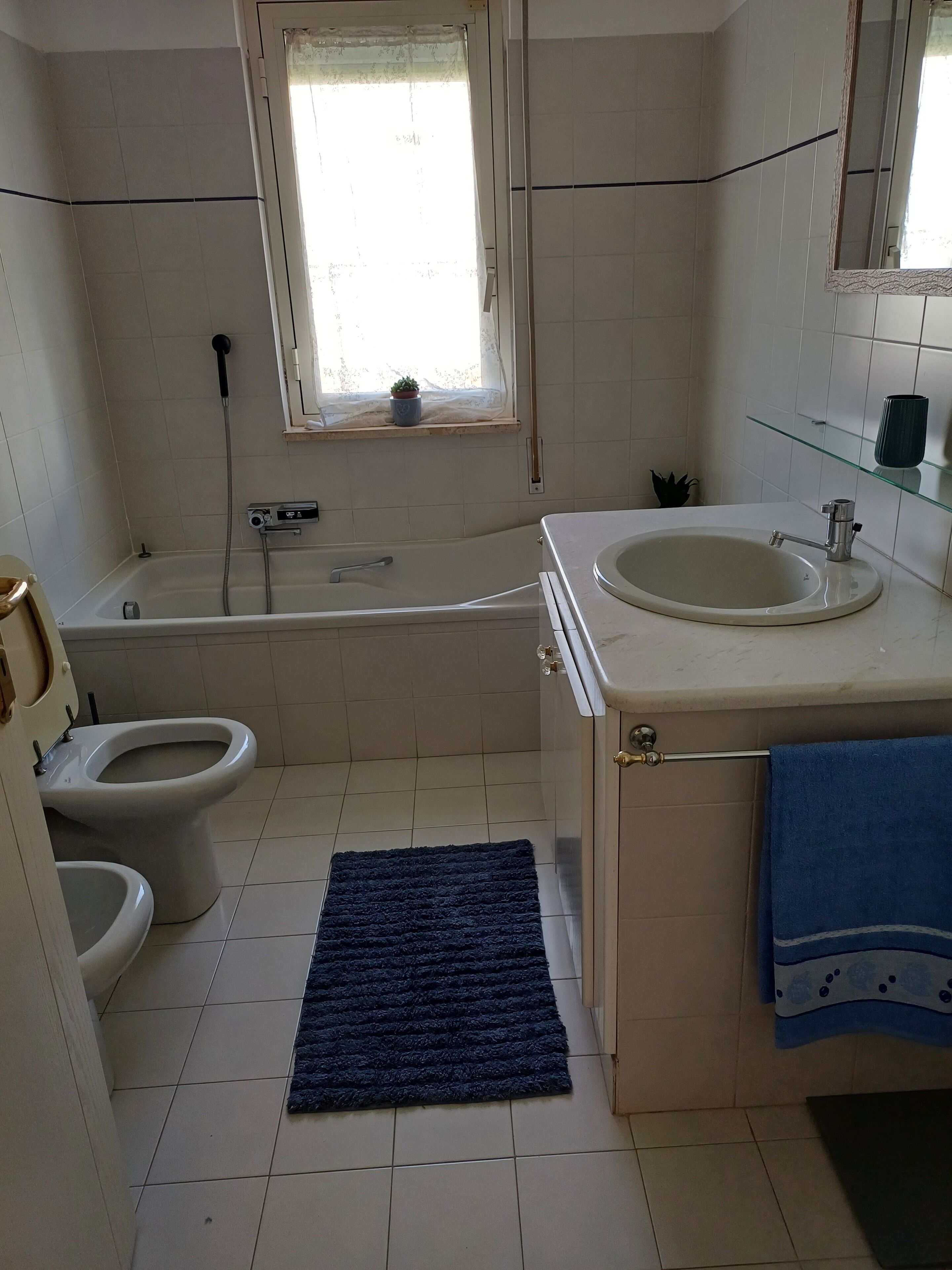 Ein Badezimmer mit einer Badewanne, zwei Toiletten, einem Waschbecken, einem Fenster und einem blauen Teppich.