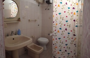 Shower, hair dryer, bidet, towels