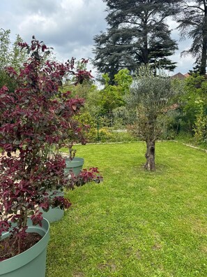 Jardines del alojamiento