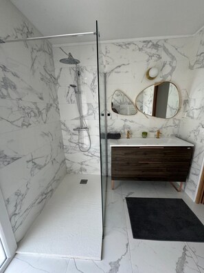 Shower, hair dryer, soap, toilet paper