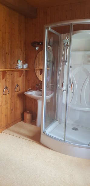 Shower, hair dryer, toilet paper - Country house in Livradois Forez (Saint-Victor-Montvianeix)