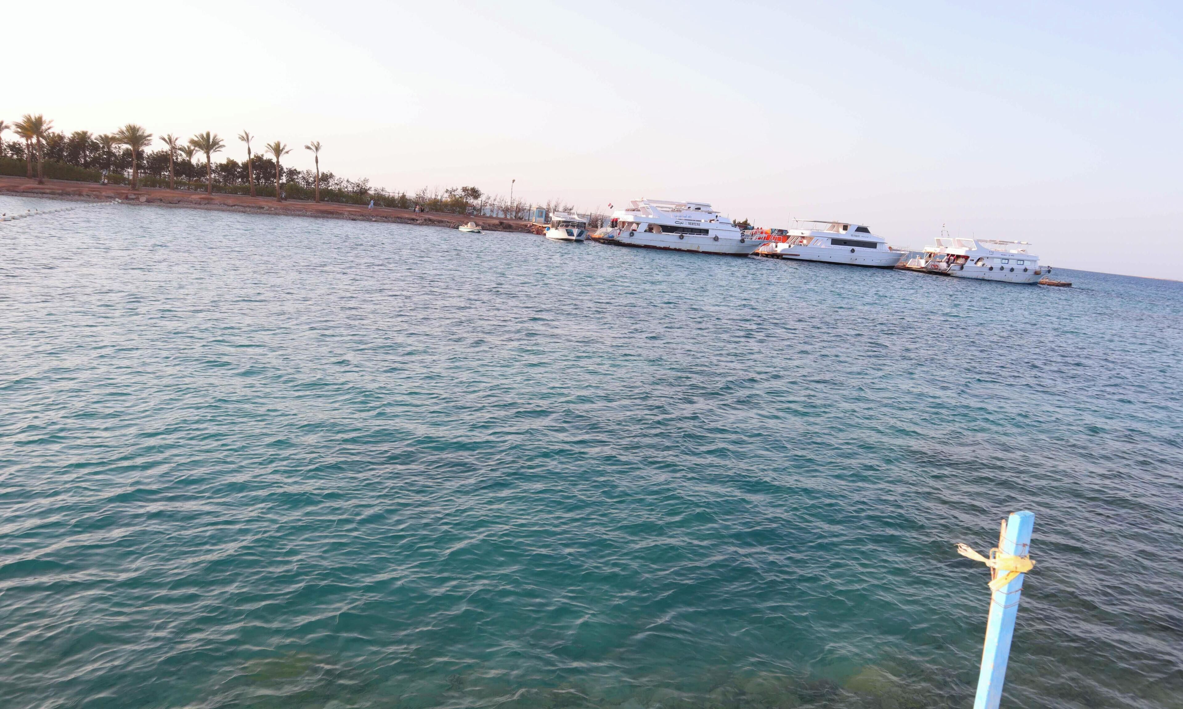 Un puerto deportivo con varios yates amarrados.