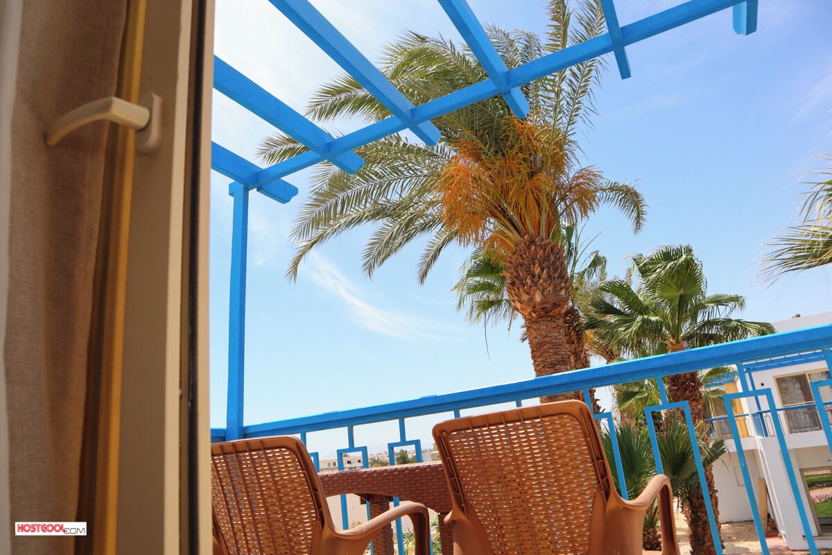 A balcony with wicker chairs, a palm tree, and a blue railing.