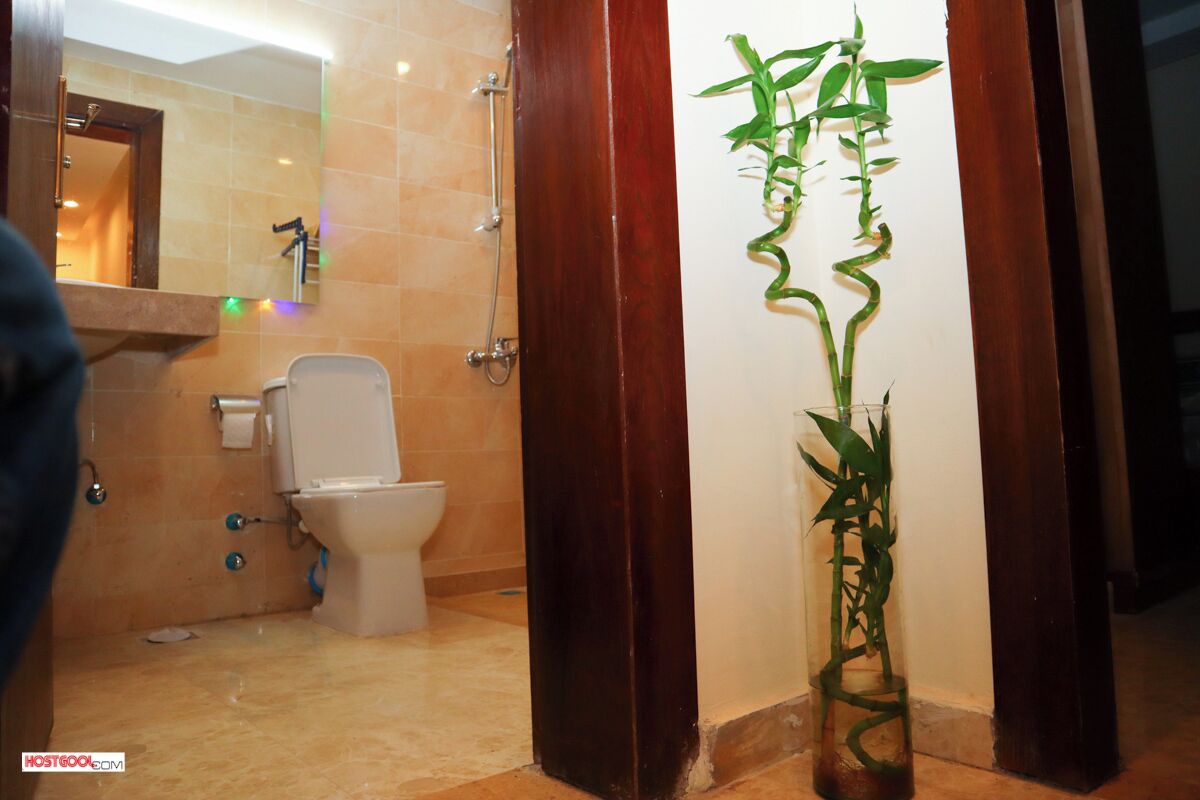 Un baño con inodoro, ducha y una planta en maceta.