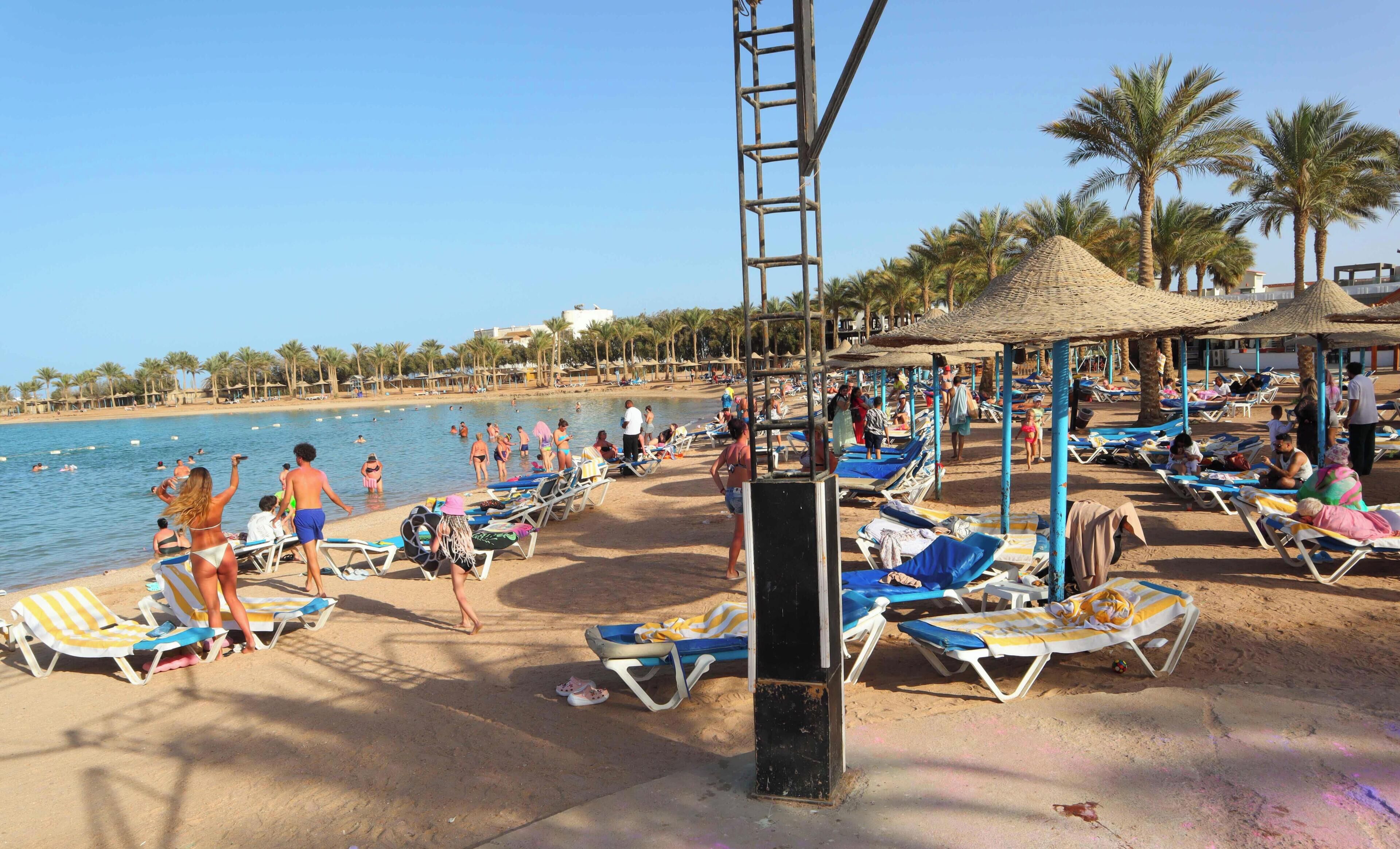 Une plage avec des chaises longues, une piscine et des palmiers.