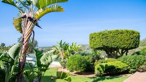 A well-maintained garden with manicured bushes, a topiary tree, and a banana plant. - 42 Presa do Moura, beautiful townhouse on stunning complex with pool and gym! (Carvoeiro)