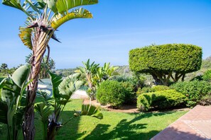 A well-maintained garden with manicured bushes, a topiary tree, and a banana plant.