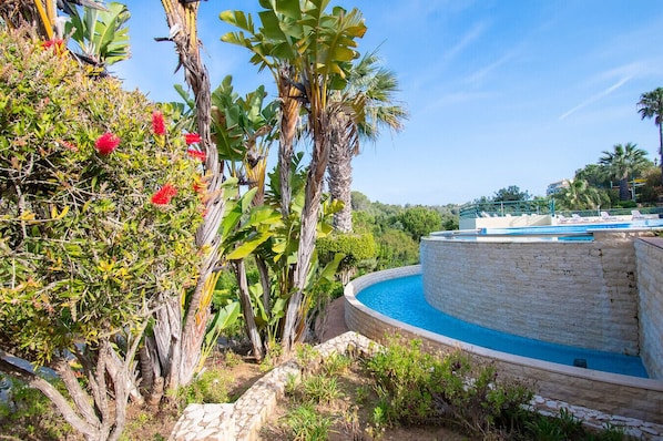 A pool surrounded by lush greenery and a clear sky.