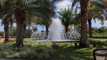 Área da propriedade