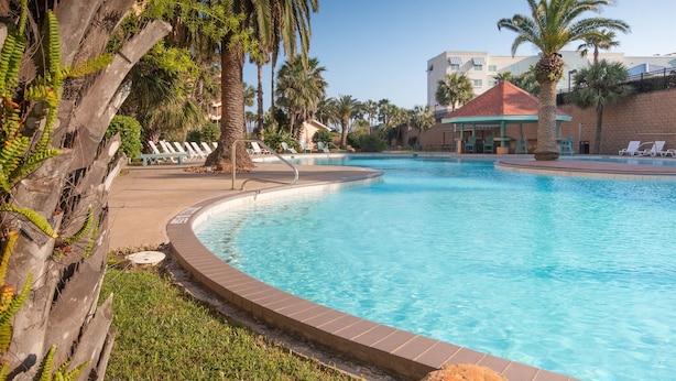 Une piscine avec des chaises longues et des palmiers.