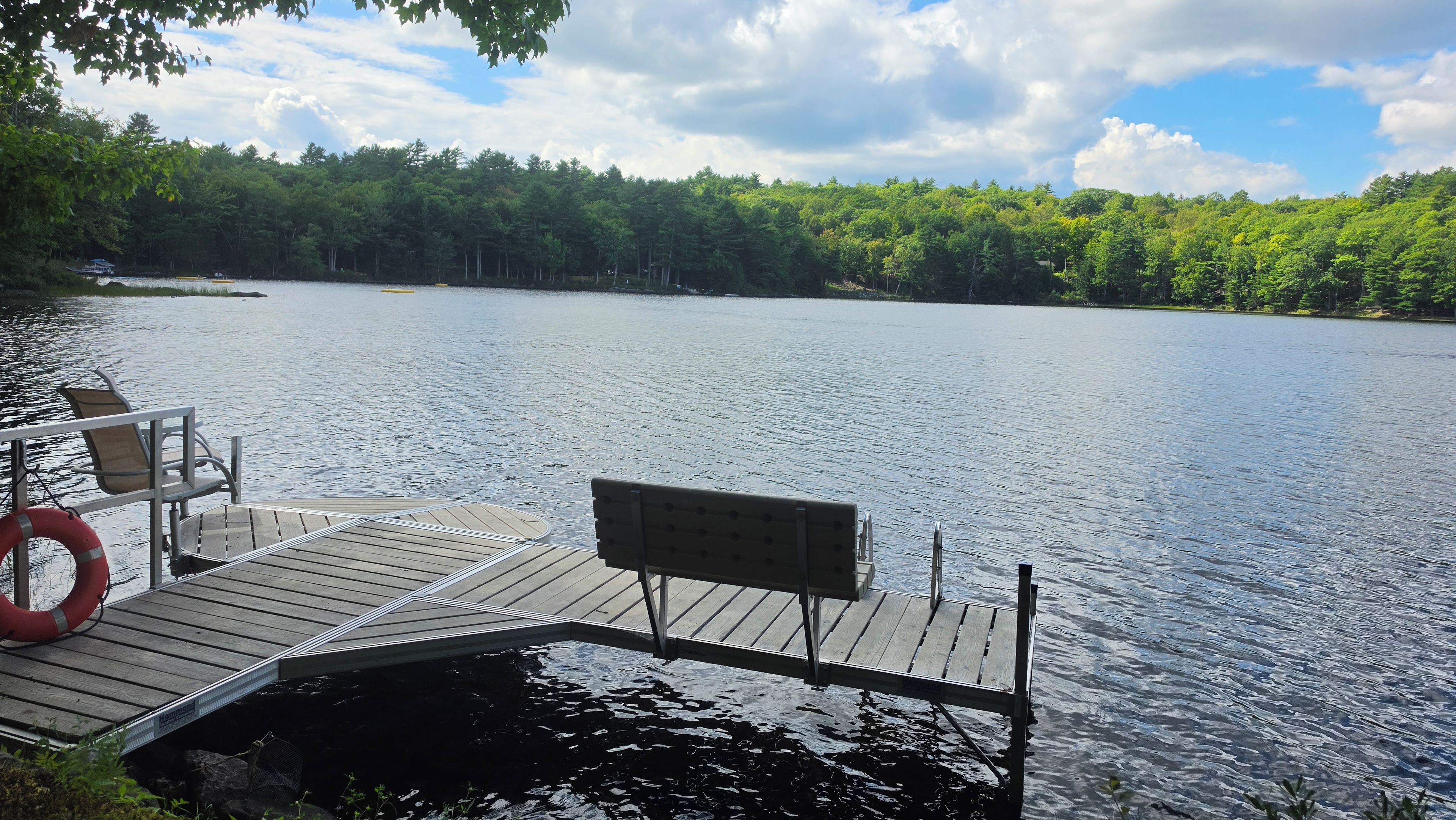 A wooden dock with a bench and a lifebuoy, extending into a calm lake surrounded by dense forest.