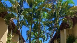 A courtyard with palm trees, a central grassy area, and buildings with tiled roofs. - Stunning 2-bed Apartment in Pipa Beach (Tibau do Sul)