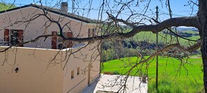 Property grounds - Casa Romantica con Vista Meravigliosa - Sweet Home Offida - (Offida)